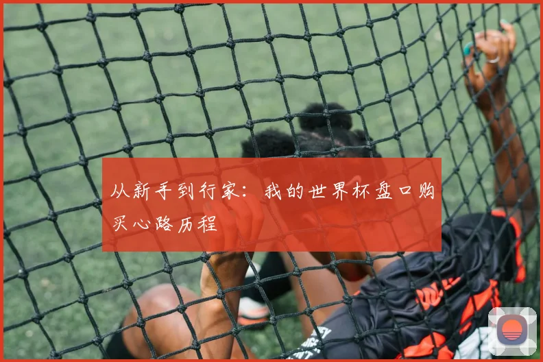 从新手到行家:我的世界杯盘口购买心路历程