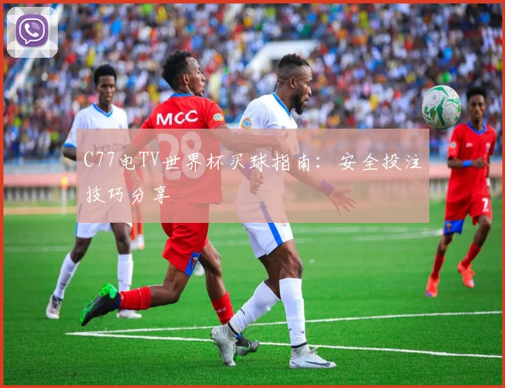 C77电TV世界杯买球指南：安全投注技巧分享